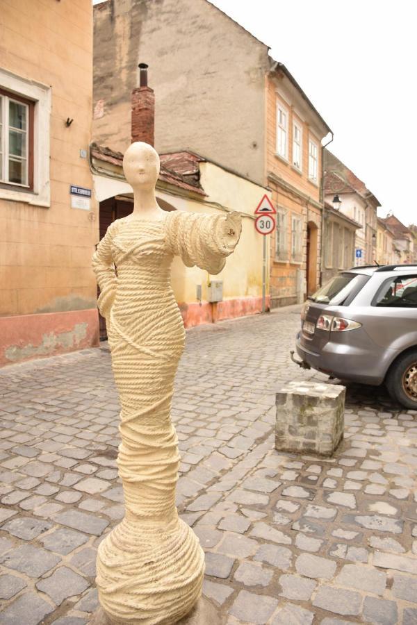 Miva Brasov